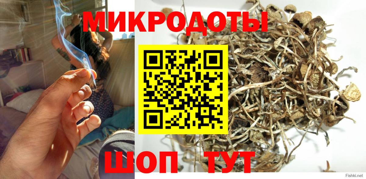 Будённовск  Псилоцибиновые грибы Cubensis  Псилоцибиновые грибы GOLDEN TEACHER  магазин продажи   Вход с VPN 