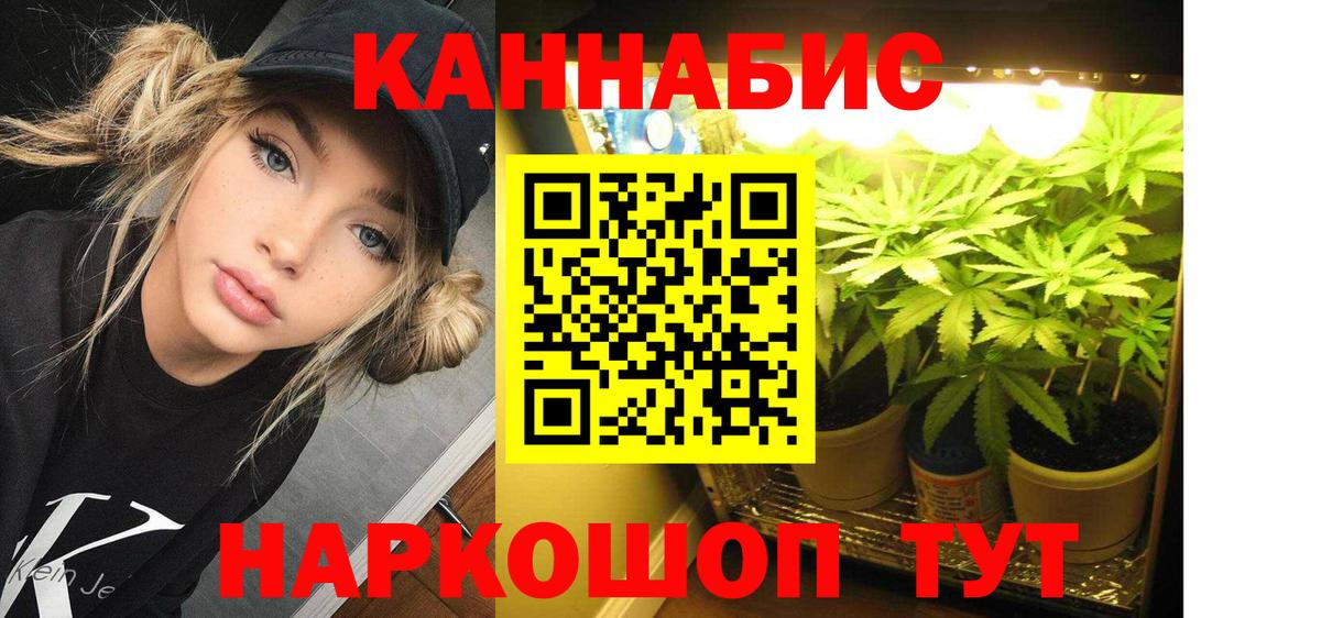 Будённовск  Бошки марихуана сатива  Каннабис конопля  Вход с VPN  Канабис LSD WEED 